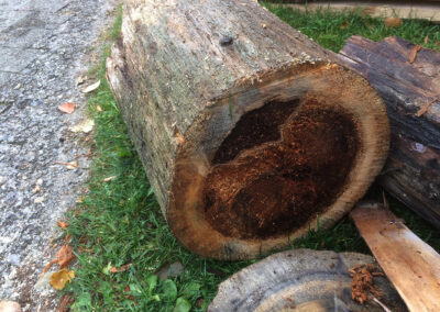 Bootshaus Bootshausbau Bootshausspezialist Fundationspfähle